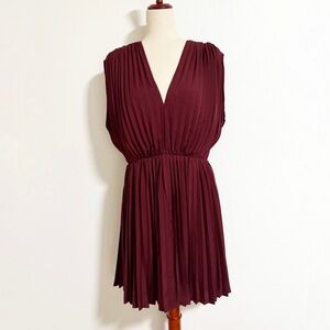 Express Pleated Mini Dress